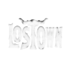 lostownlogo-removebg-preview (1).png