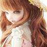 Roselily